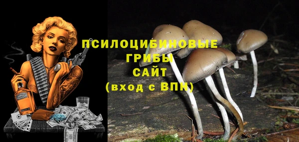 а пвп мука Армянск